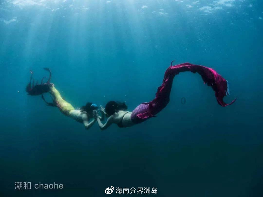 小猫钓鱼正版下载中文版