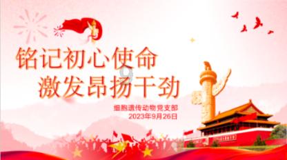 新春佳节送春联 墨香祝福暖人心
