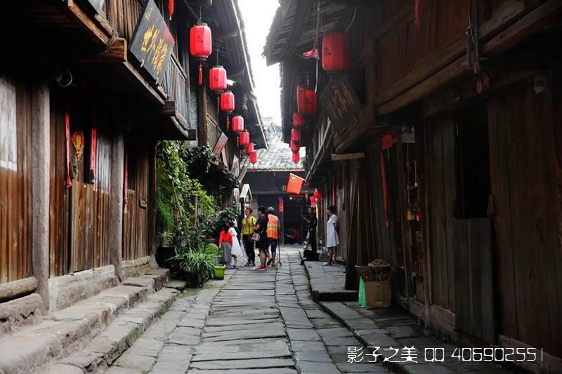 拯救精灵的土地9