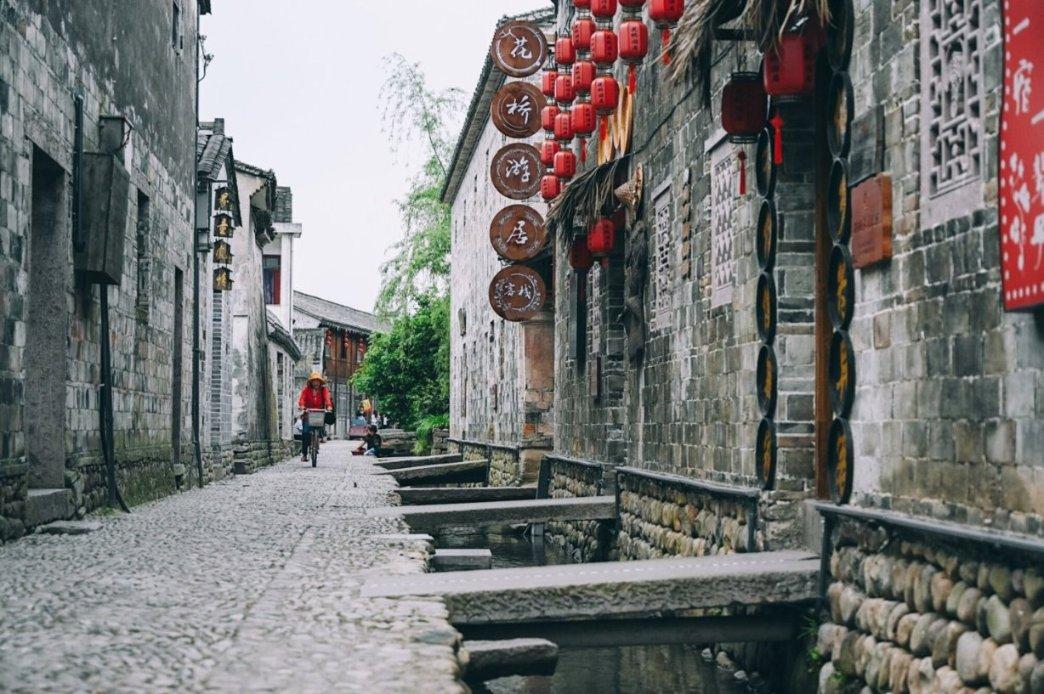 动物帮帮忙保卫家园