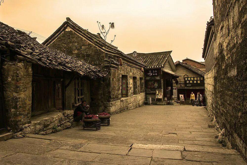 你觉得公园不允许狗进入合理吗?-最全面的红迪网平台