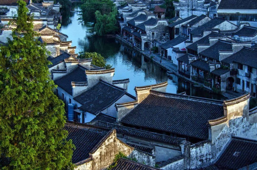 逃离仿真森林