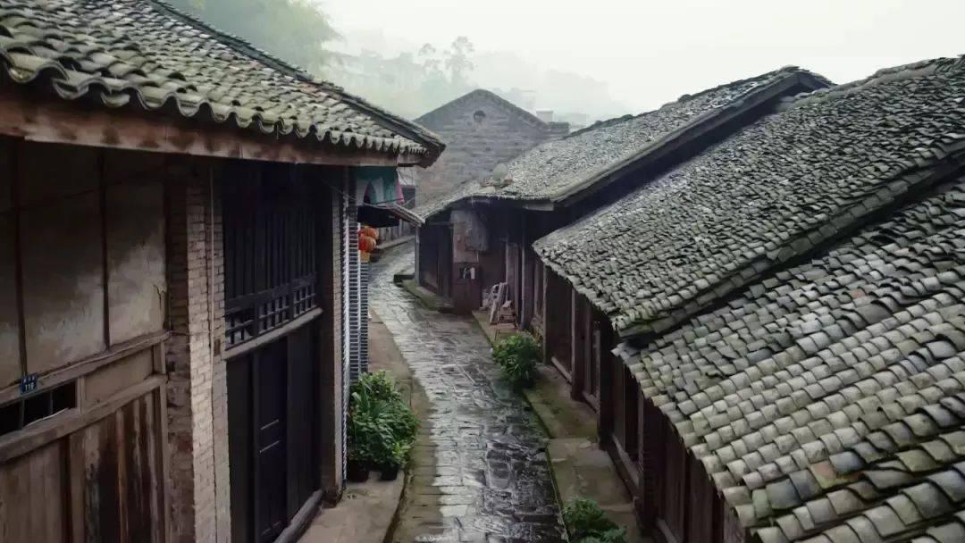 收视率破2,央视打出王炸抗日剧,热度超过杨紫新剧指日可待